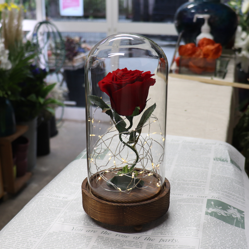 LEDガラスドームの赤薔薇